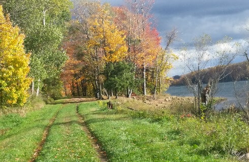 Green rail through autumn trees next to a body of water.